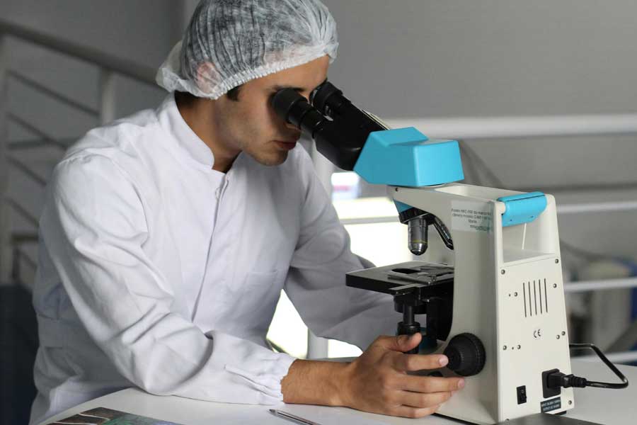 NMN Studies: The Top 5 Research Studies On NMN (Including Objectives, Testing And Outcomes)