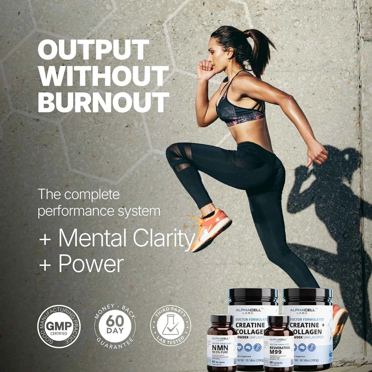 The Active Performance Stack (Bundle)