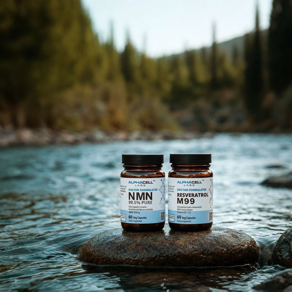 The Longevity Stack (Bundle)