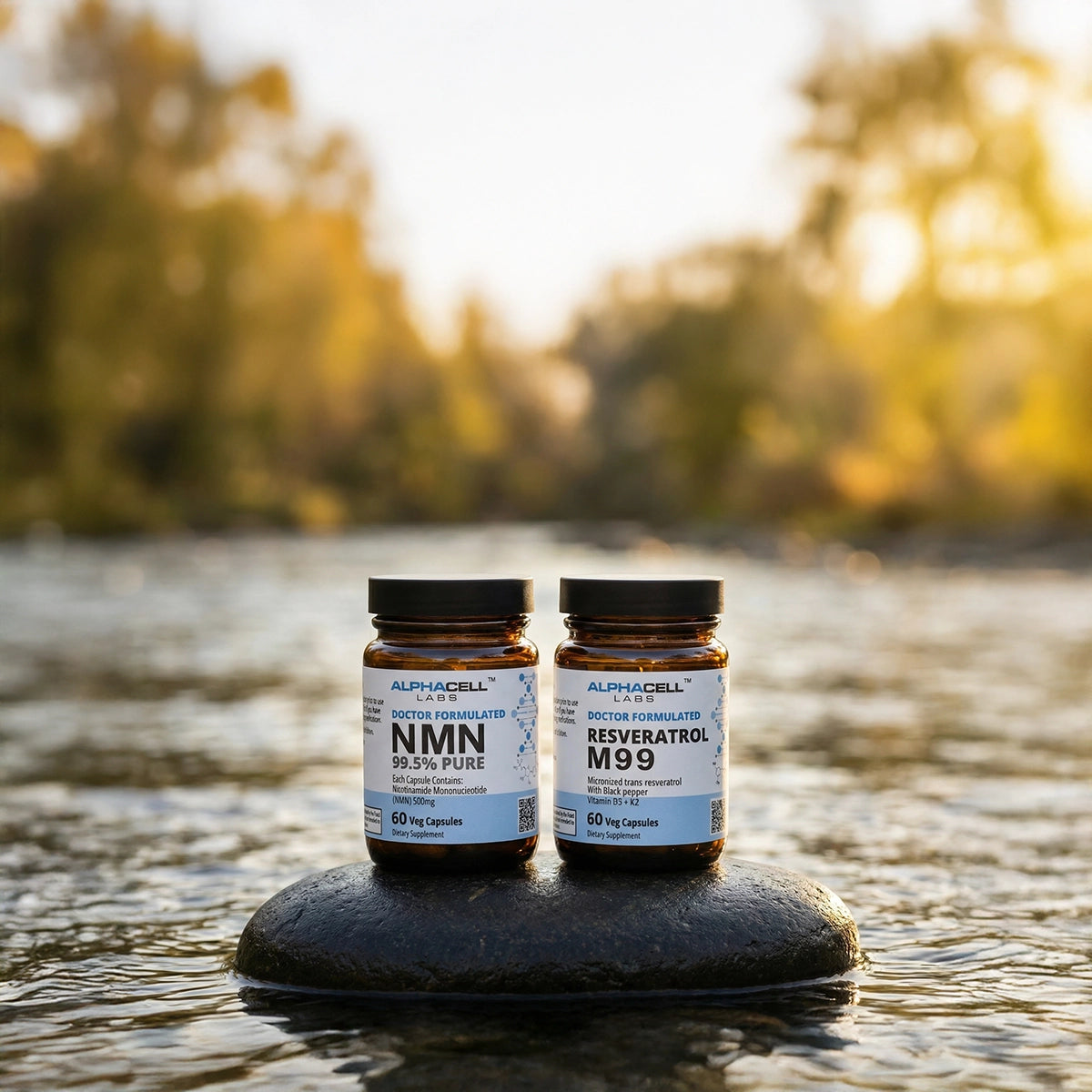 The Longevity Stack (Bundle)