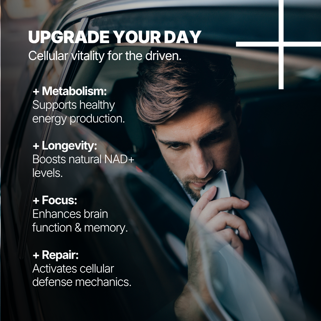 The Longevity Stack (Bundle)