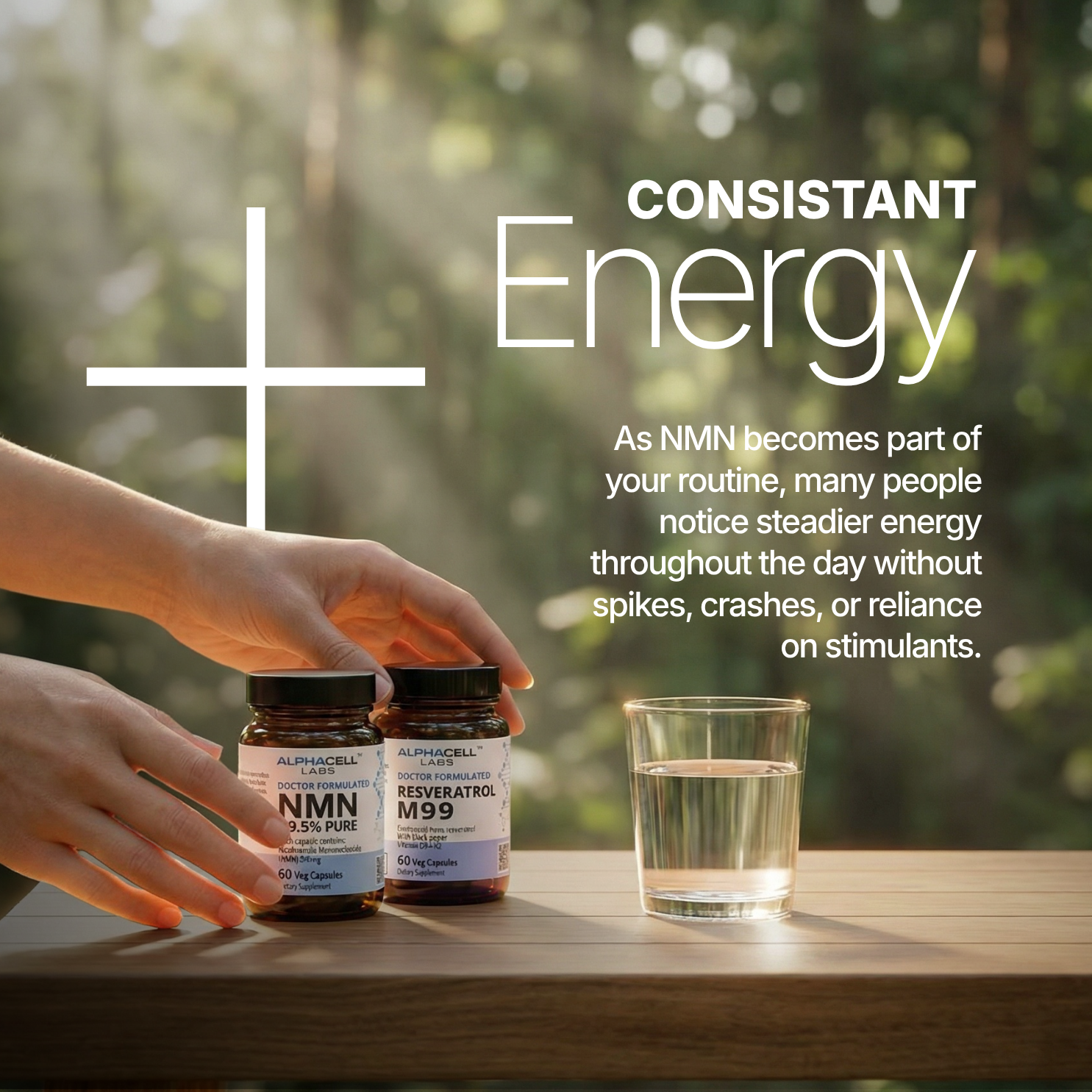 (L) - Longevity Pack - NMN 500mg and M99 Resveratrol - AlphaCell Labs
