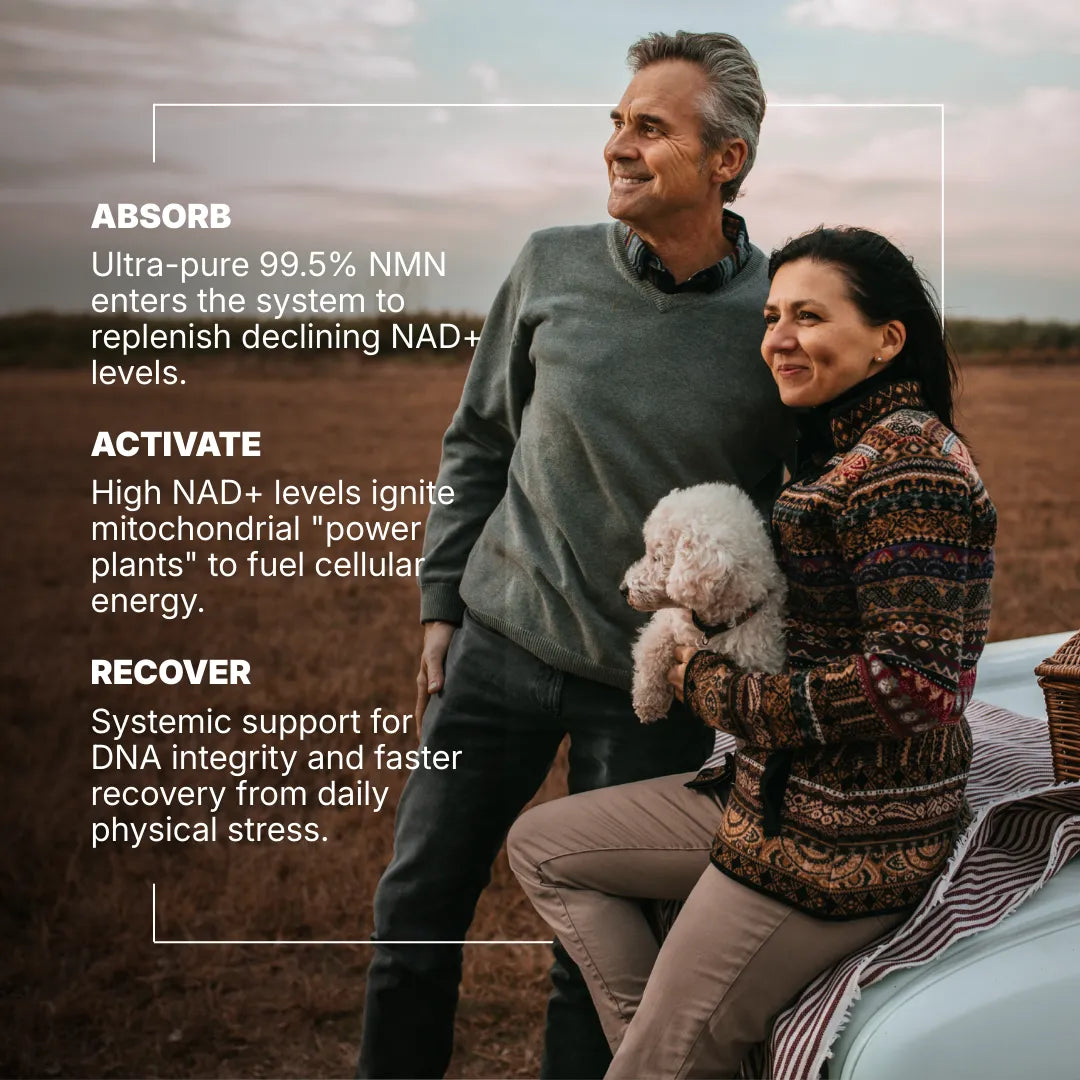 Longevity Pack - NMN 500mg and M99 Resveratrol